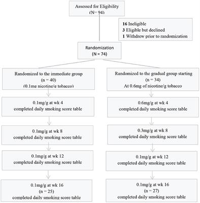 The Effects of Immediate vs Gradual Reduction in Nicotine Content of Cigarettes on Smoking Behavior: An Ecological Momentary Assessment Study